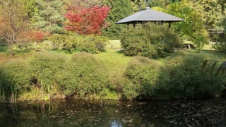Autumn colours in the Japanese Garden